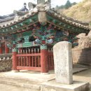 모평마을숲 Daum카페
