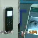 최인평의안 이미지