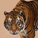 선인유도관 이미지