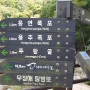 연종보감 이미지