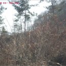 영동목장 이미지