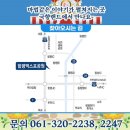 함평자연생태공원캠핑장 | 국화꽃과 음악이 어우러진 가을 축제, 대한민국 국향대전 2025