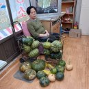 아세아이용소 - 달서구 | 아세아이용소