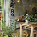 노보리지 이미지