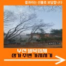 무궁화상가 1차 | 부천 벌목업체 상가 주변 가지치기