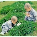 작은행복 이미지