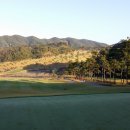 코스카cc 이미지