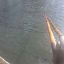 서부낚시터 이미지