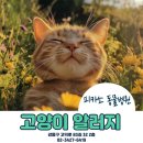 피카소동물병원 이미지