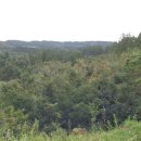 신흥보건진료소 이미지