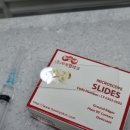 새은평동물의료센터 이미지