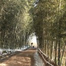 담양 죽녹원 게스트하우스 이미지