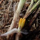 (주)금화 이미지