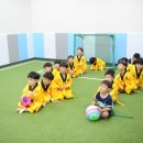 다온키즈태권도장 이미지