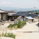 동촌2 Daum카페