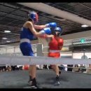 SY 주짓수&복싱 이미지