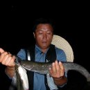 동부2리 이미지