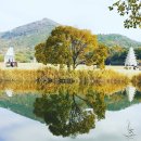 익산고등학교 이미지