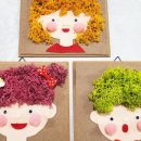 공기정화 스칸디아모스 만들기 이미지