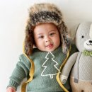 카인드독 이미지