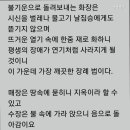 굿바이펫 이미지