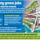 주민참여형 도시농업 활성화 정책 추진 (인도 델리 NCT) 이미지