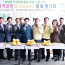성주 국제i저널