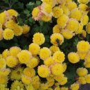 임자중학교 이미지