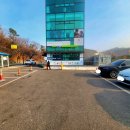 퍼피케어 이미지