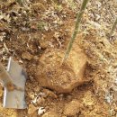 상근농장 이미지