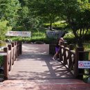 유명산자연휴양림 이미지