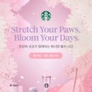 블라썸캣 이미지