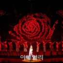 뮤지컬 Daum카페