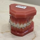 S플러스치과의원 이미지