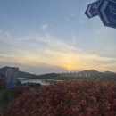형제홍어 | 나주홍어거리,나주여행, 영산강황포돛배요금,시간