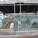 형철농장 이미지