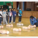 서울서신초등학교 이미지