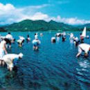 강원오토 이미지