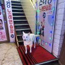 스타킹 노래연습장 네이버블로그