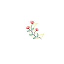중앙동-7 이미지