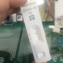 나는 생각한다 코로나는 존재한다