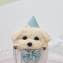 원더풀펫살롱 이미지