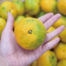 회송농장 이미지