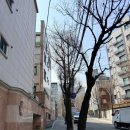 지에스(GS)25 남현으뜸점 이미지