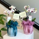 거목가든 이미지