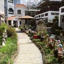 석화꽃무지 풀무지 유치원 이미지