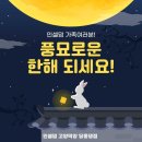 인셀덤딩동댕