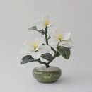 바로아토
