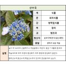 한진2리 이미지