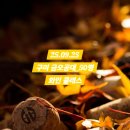 국립금오공과대학교 대학원 | 25.09.25(목)_구미 금오공대_와인클래스_50명대학원 대상 와인수업_와인입문 클래스